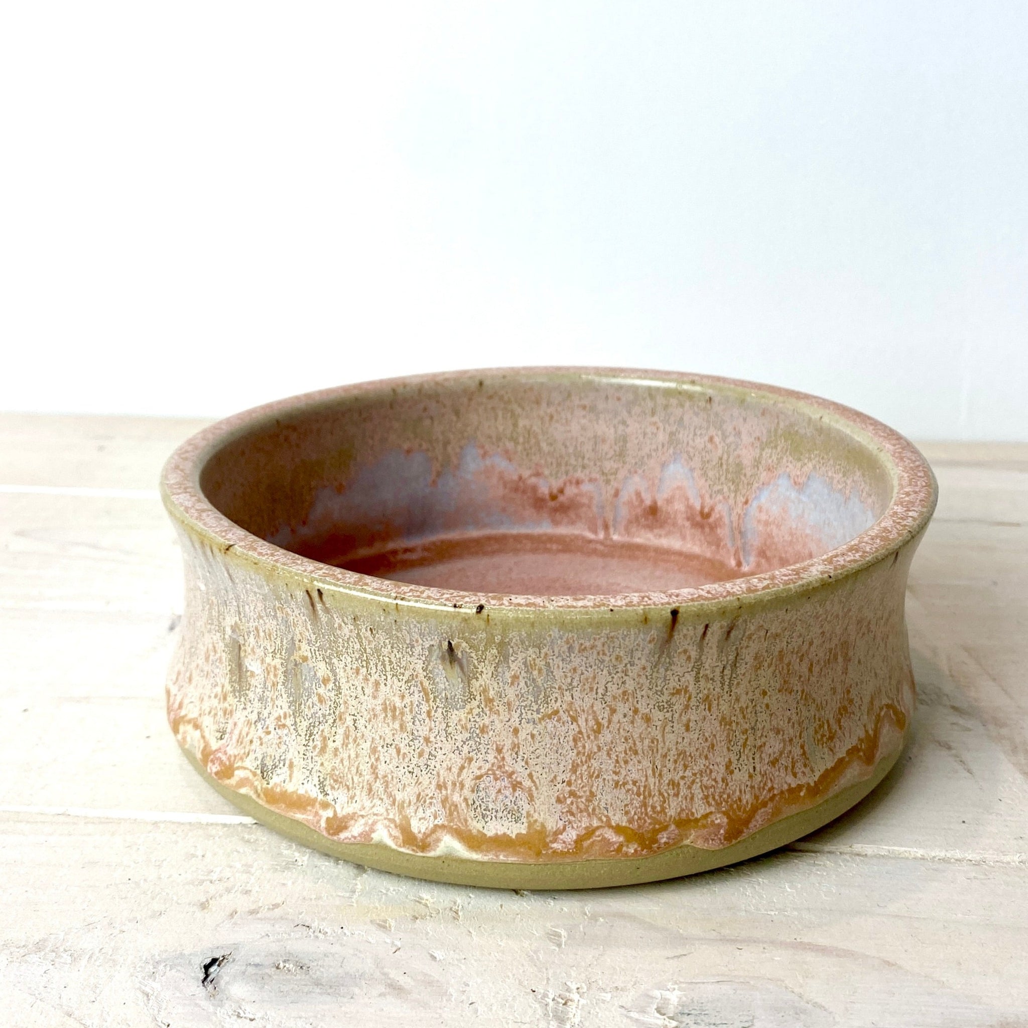 Pet Dish: Morning Light