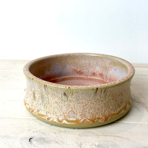 Pet Dish: Morning Light